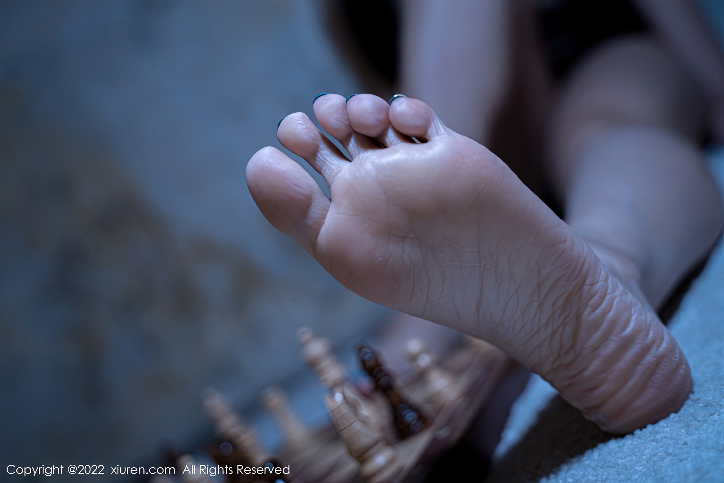 Xiuren秀人网 2022.12.13 NO.5988 雅雯